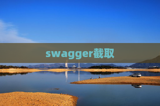 swagger截取